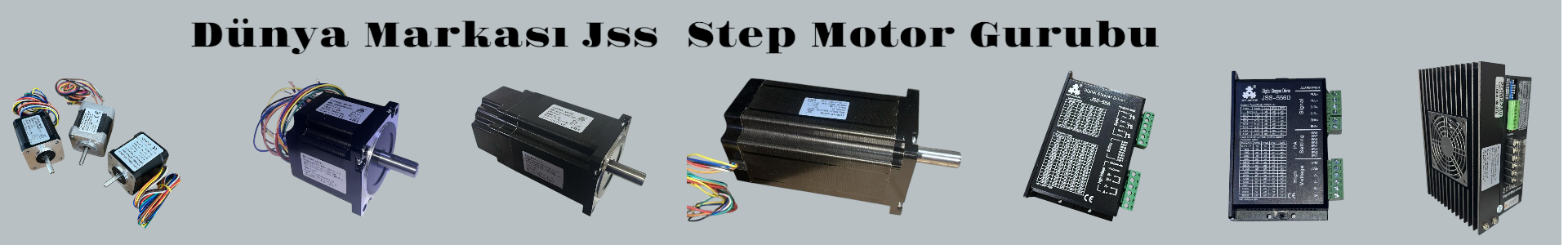 Step Motor