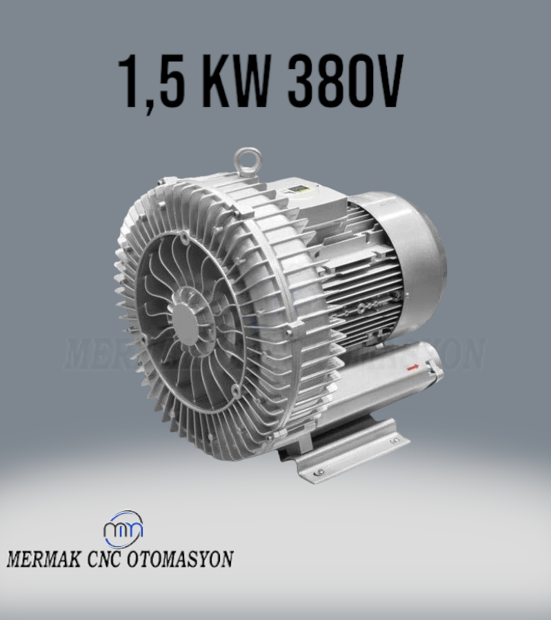 Blower Motor Vakum Pompası 1,5 Kw 210 M3/h - 1